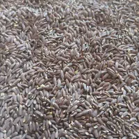 کنجد خوب|خوردنی و آشامیدنی|سردرود, |دیوار