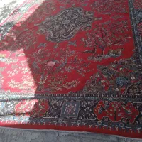 مبل وفرش کارکرده|فرش|شیراز, دارالرحمه|دیوار