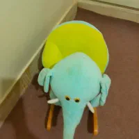 راکر فیلی|اسباببازی بچه|شاهینشهر, گزبرخوار|دیوار