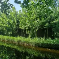 تجربه زندگی در ویلای چوبی