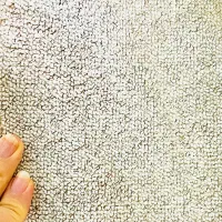 موکت پالاز ۲۴ متر فقط ۵ تومن