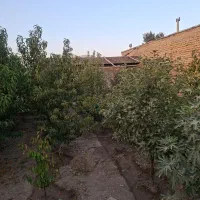 نیازمند هم خانه .|اجارهٔ خانه و ویلا|اصفهان, دانشگاه اصفهان|دیوار