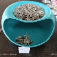 تخمه و آجیل خوری فانتزی|ظروف سرو و پذیرایی|شاهین‌شهر, شهرک امام علی|دیوار