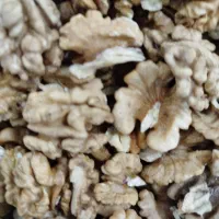 مغز گردو وگردو