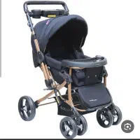 کالسکه دلیجان