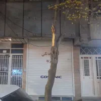 کرکره برقی با موتور توبلار. کارکرده