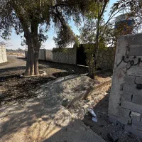 باغچه چسب بافت|فروش زمین و ملک کلنگی|اسلامشهر, شهرک محمدیه|دیوار