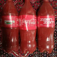 رب خانگی