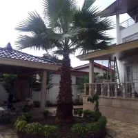 علفتراشی هرس برش چوب وغیره