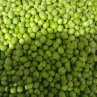 شارژ مجددنخود فرنگی