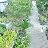 انتقال تصویر دوربین مداربسته روی موبایل و مانیتور