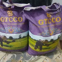 برنج جی تی سی