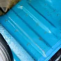 نیسان صفر. صفر|خودرو سواری و وانت|کازرون, |دیوار