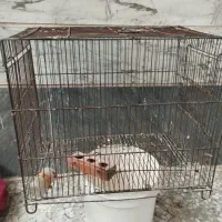 انواع قفس|لوازم جانبی حیوانات|قدس, شهر‌قدس|دیوار