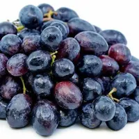 توزیع و تولید نهال گلدانی انگور بلک سیلدیس|خدمات باغبانی و درختکاری|سیرجان, |دیوار
