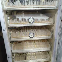 دستگاه جوجه کشی گرین کاکس|لوازم جانبی حیوانات|شاهرود, |دیوار