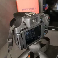 دوربین سوپرزوم cannon sx60sh|دوربین عکاسی و فیلم‌برداری|کرمان, |دیوار