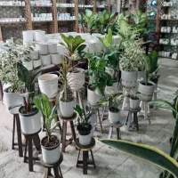 گلدان پایه استند خاک گل ظروف هدیه پذیرایی غذاخوری