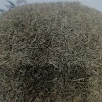 زیره سبز بوجاری تمیز