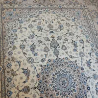 فرش دستباف|فرش|تهران, دانشگاه شریف|دیوار