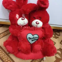 انوع عروسک سالم