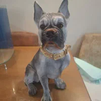 مجسمه سگ دوعدد|مجسمه، تندیس، ماکت|تهران, تهرانسر شرقی|دیوار