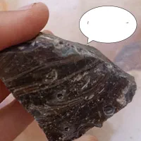 انواع و اقسام سنگ های|بدلیجات|اشکذر, |دیوار