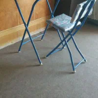 میز و صندلی تاشو طرح سگ های نگهبان