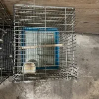 قفس|لوازم جانبی حیوانات|تهران, جیحون|دیوار