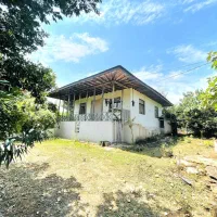 خانه سنتی تالار دار ۳۱۸ متر سند دار جنگلی زیبا