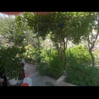 فروش یا معاوضه خونه ویلایی|فروش خانه و ویلا|قصابه, |دیوار