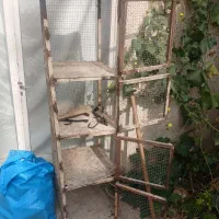 کبوتر جفت کن|لوازم جانبی حیوانات|اصفهان, شاهد|دیوار