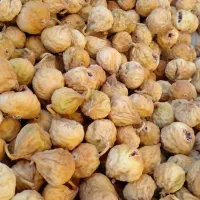 انجیر تازه استهبان|خوردنی و آشامیدنی|تهران, ترمینال غرب|دیوار
