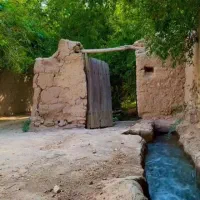 باغ میوه 40 ساله
