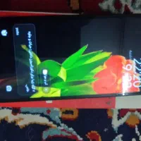 Redmi13C|موبایل|مشهد, کشف|دیوار