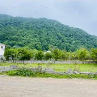 زمین-220-متری-سند-6-دانگ-300-متری-جاده-اصلی