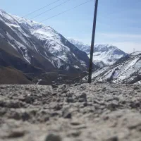 نیازمند خونه