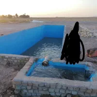 ماهی کپور