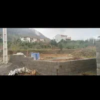 فروش زمین جنگلی باسند تک برگ|فروش زمین و ملک کلنگی|چابکسر, |دیوار