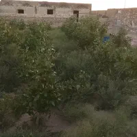 قلعه‌و‌باغچه‌در‌روستای‌سراجه|فروش زمین و ملک کلنگی|قم, سراجه|دیوار