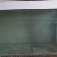 آکواریوم