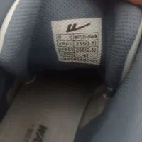 کفش|کیف، کفش، کمربند|پرند, فاز ۶|دیوار