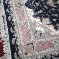 فرش ۱۲متری سالم سبز ویدونه سرمه ای ۹متری|فرش|قهدریجان, |دیوار