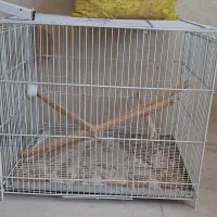 قفس پرنده نورآباد ممسنی