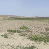 زمین-کشاورزی-ملکی