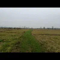 6000-متر-شالیزار-گیلان-رشت-سنگر