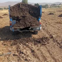 کود حیوانی