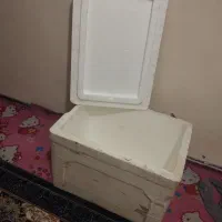 یخدان یونولیتی در حد نو