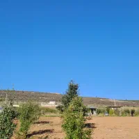 فروش زمین درییلاق خوش آب وهوای دودانگه علی آباد|فروش زمین و ملک کلنگی|فریم, |دیوار