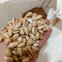 زعفران وخشکبار|خوردنی و آشامیدنی|شیراز, احمدی جنوبی|دیوار